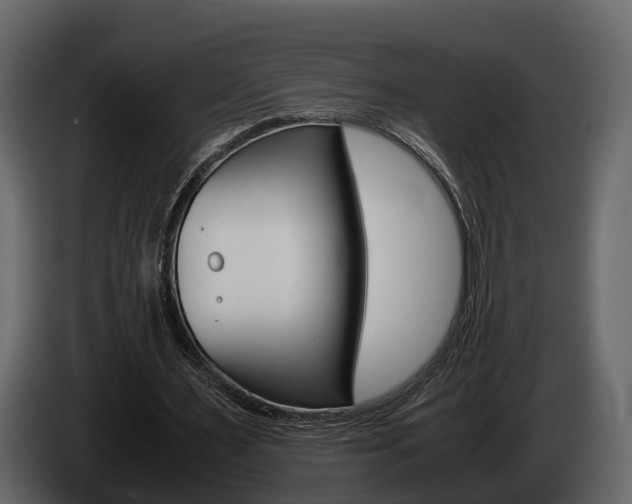 X0000086010483200703230914