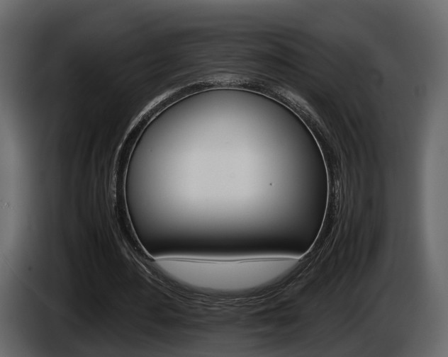 X0000086010484200703230914