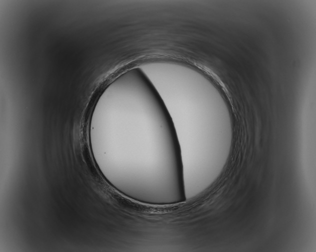 X0000086010487200703230914