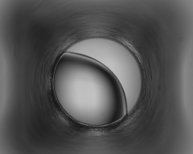 X0000086010489200703230914