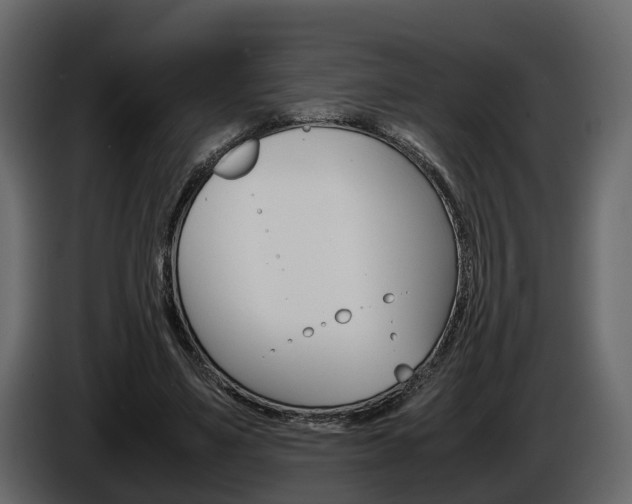X0000086010491200703230914