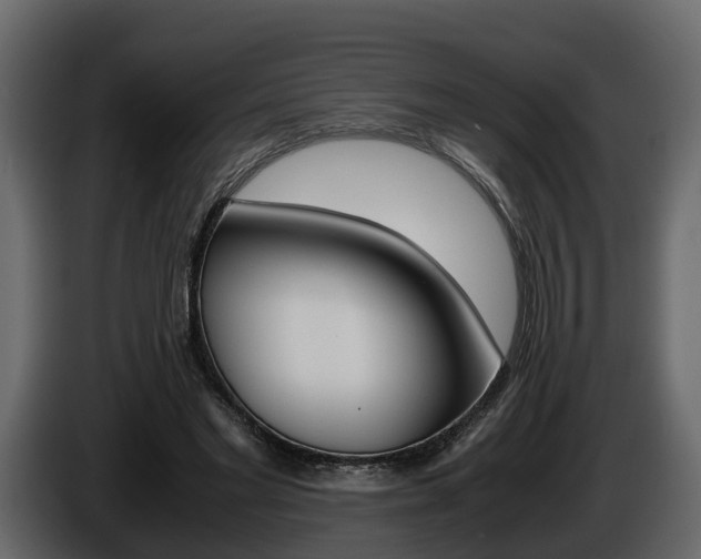 X0000086010493200703230914