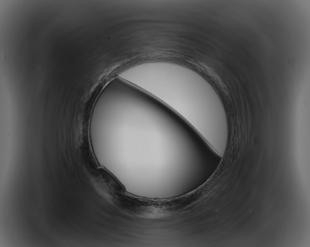 X0000086010496200703230914