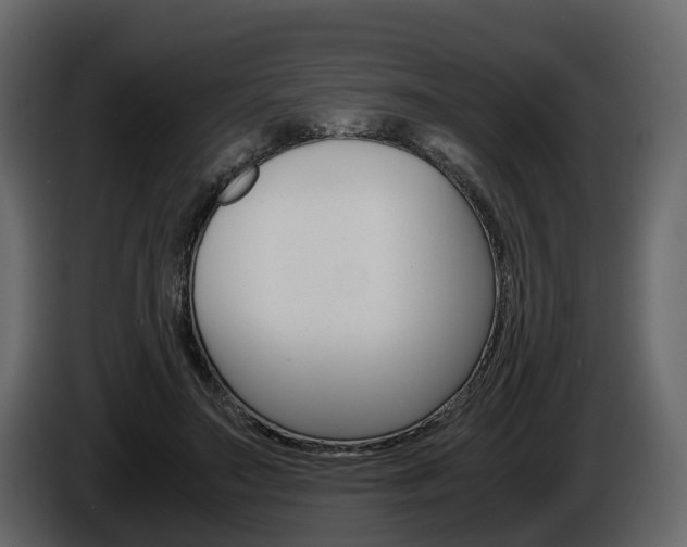 X0000086010499200703230914
