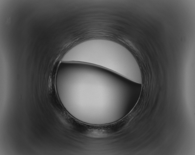 X0000086010500200703230914