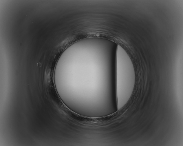 X0000086010504200703230914