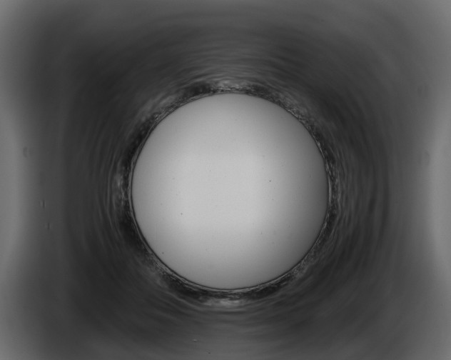 X0000086010506200703230914