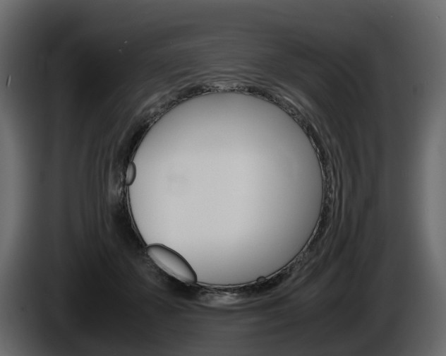 X0000086010507200703230914