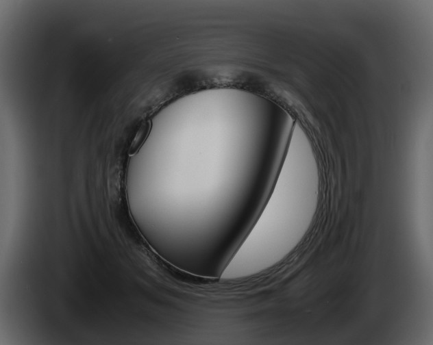 X0000086010509200703230914