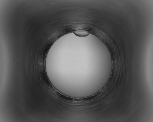 X0000086010510200703230914