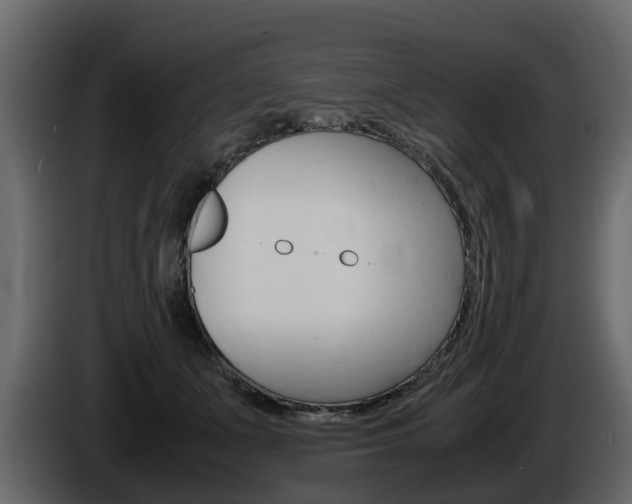 X0000086010511200703230914