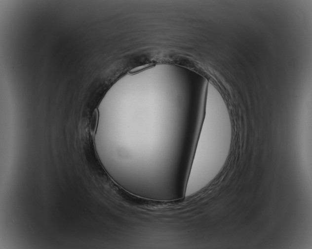 X0000086010513200703230914