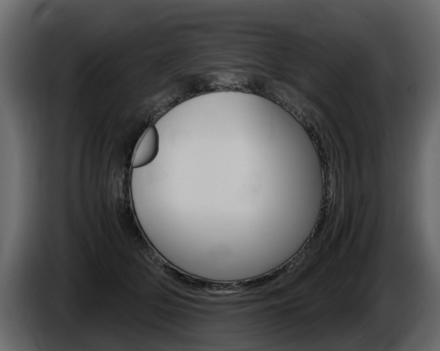 X0000086010514200703230914