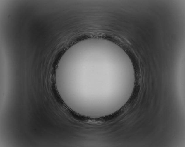 X0000086010515200703230914