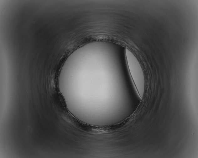 X0000086010516200703230914