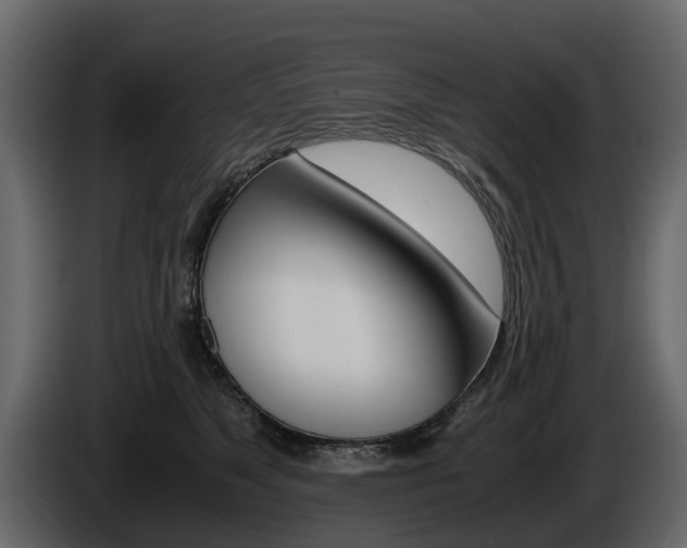 X0000086010517200703230913