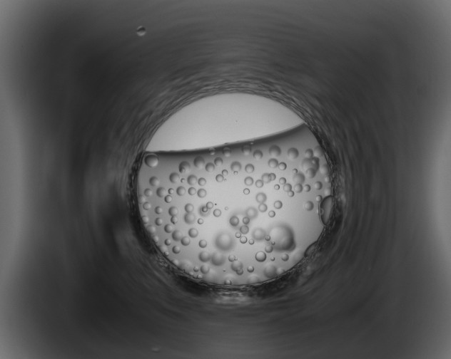 X0000086010519200703230913