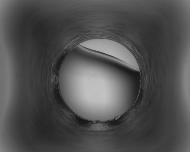 X0000086010521200703230913
