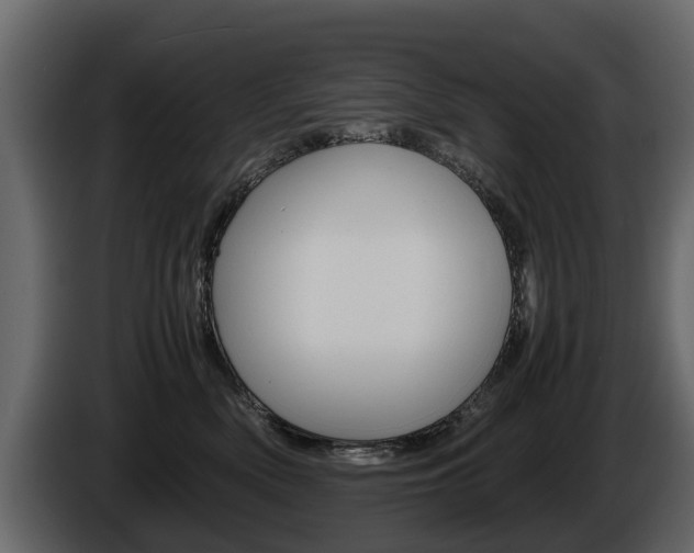 X0000086010522200703230913