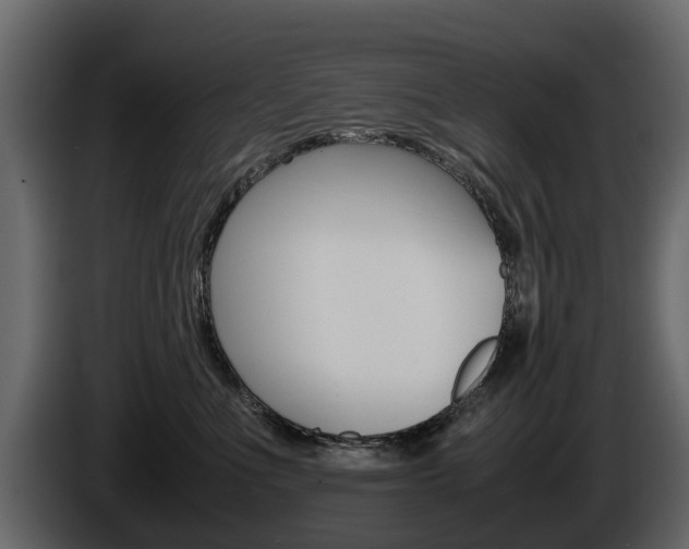 X0000086010523200703230913