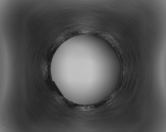X0000086010524200703230913