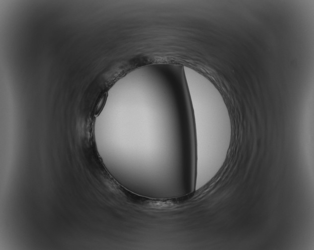 X0000086010525200703230913