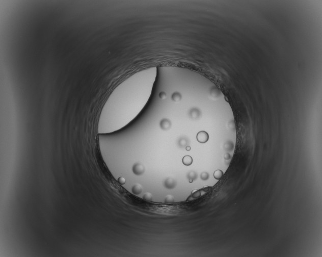 X0000086010527200703230913