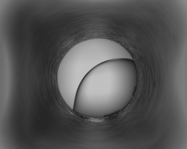 X0000086010528200703230913