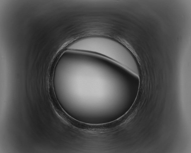 X0000086010530200703230913