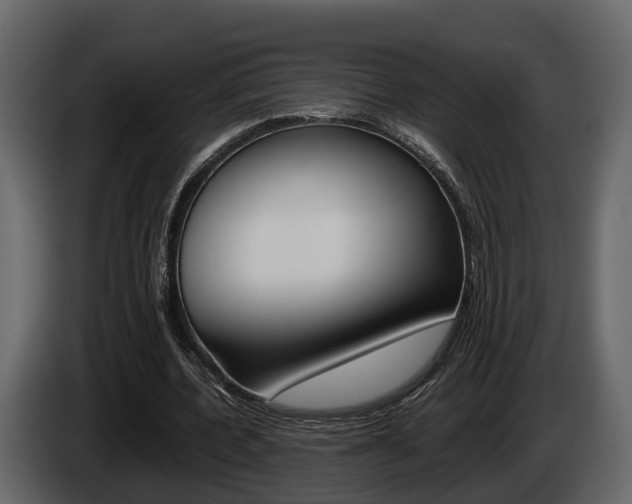 X0000086010532200703230913