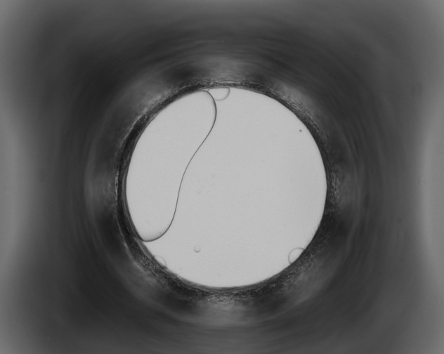 X0000086010534200703230913