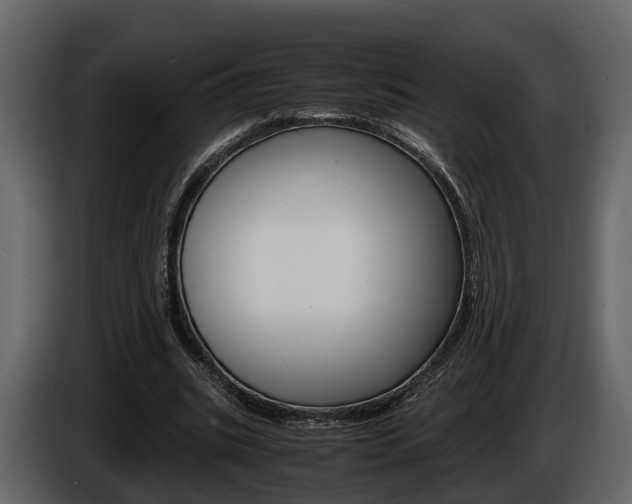 X0000086010535200703230913
