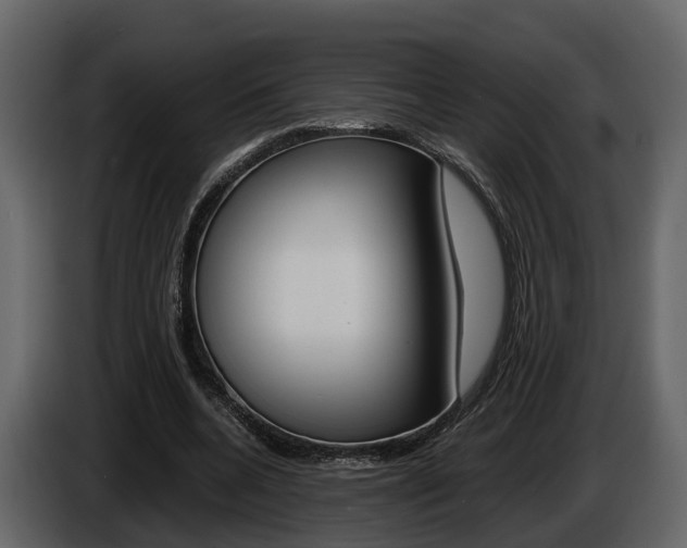 X0000086010536200703230913