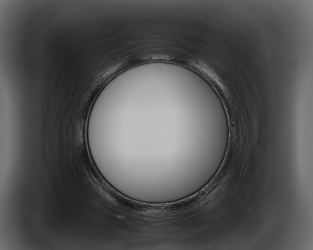 X0000086010537200703230913