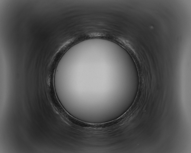 X0000086010539200703230913