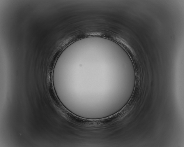 X0000086010541200703230913
