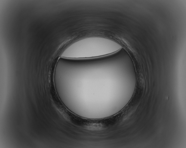 X0000086010543200703230913