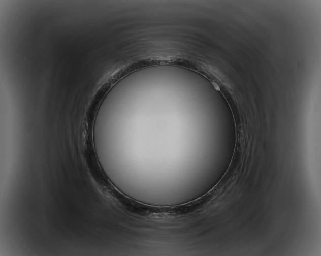 X0000086010544200703230913