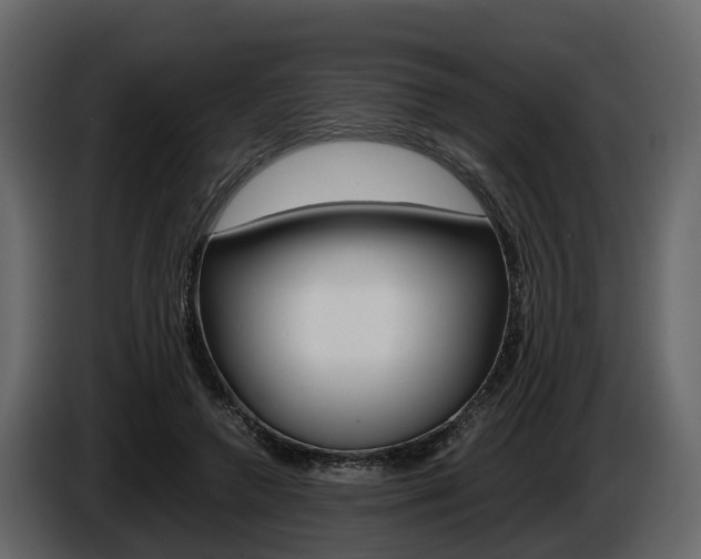 X0000086010546200703230913