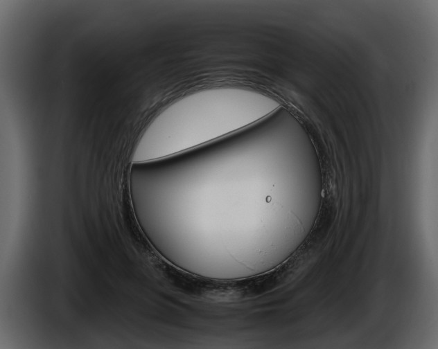X0000086010551200703230913