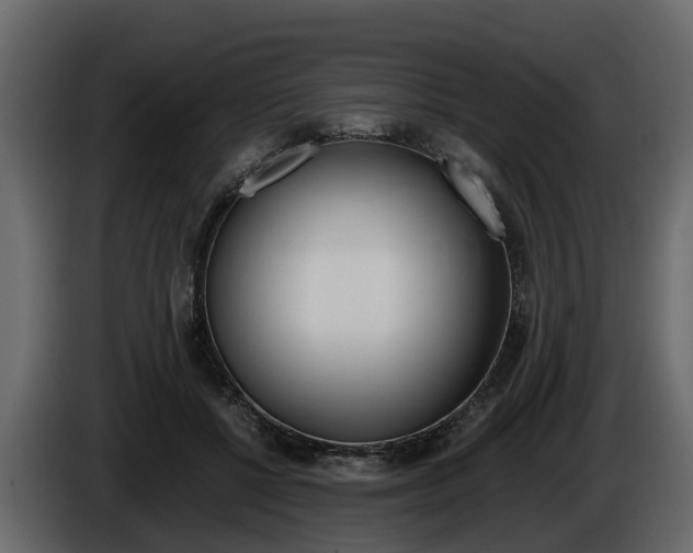 X0000086010552200703230913