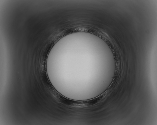X0000086010553200703230913
