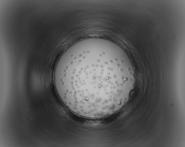 X0000086010554200703230913