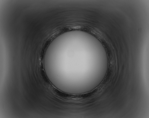 X0000086010555200703230913