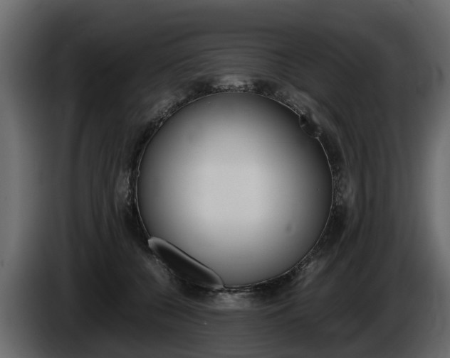 X0000086010560200703230913
