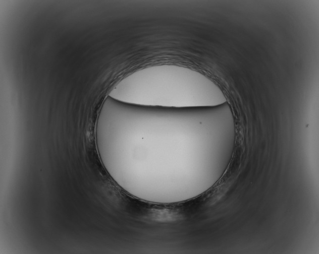X0000086010561200703230913