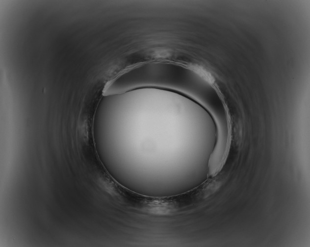 X0000086010562200703230913