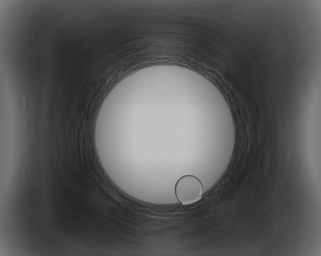 X0000086010564200703230913