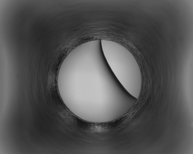 X0000086010565200703230913