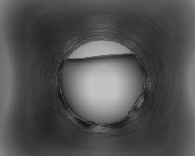 X0000086010568200703230913